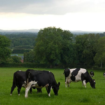Ballindrum Farm B&B Athy Bagian luar foto