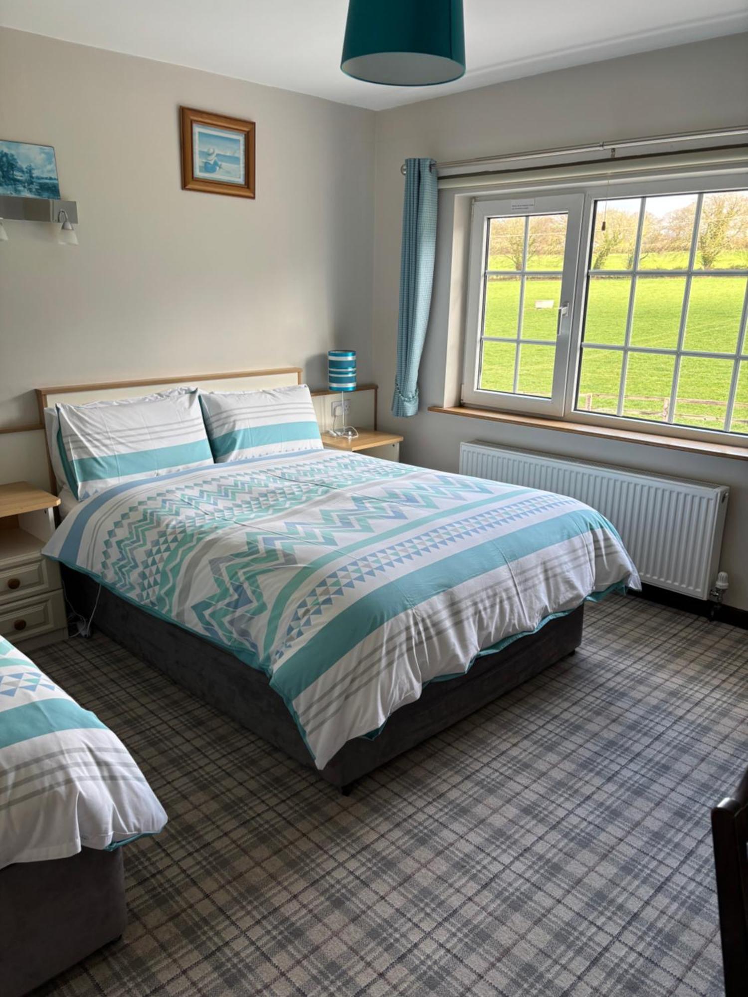 Ballindrum Farm B&B Athy Bagian luar foto
