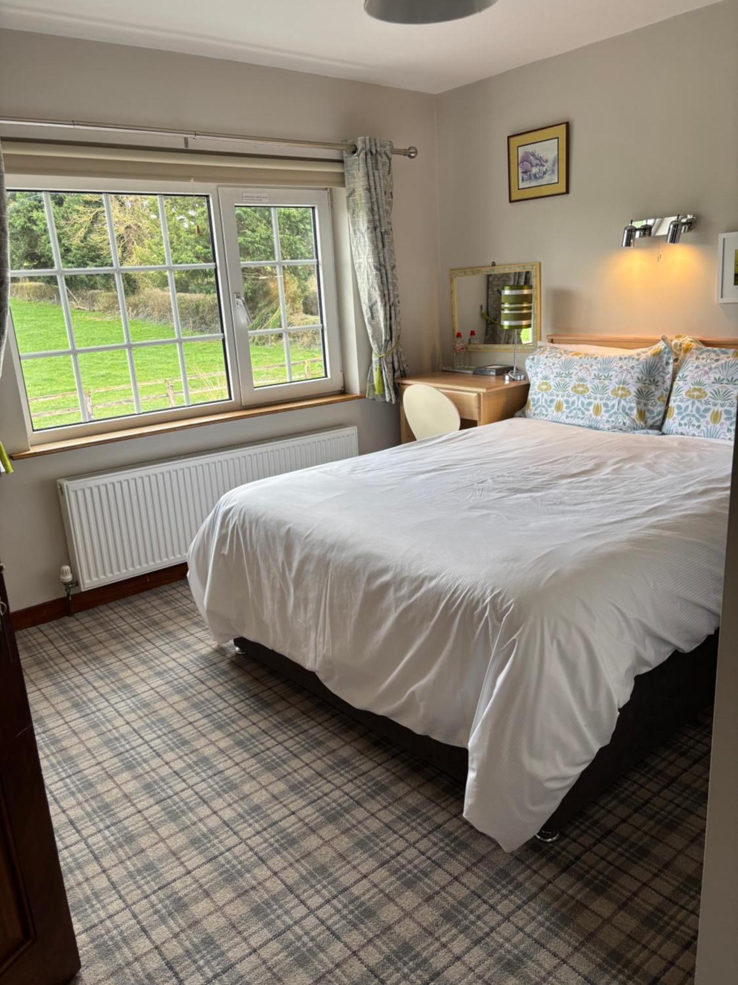 Ballindrum Farm B&B Athy Bagian luar foto