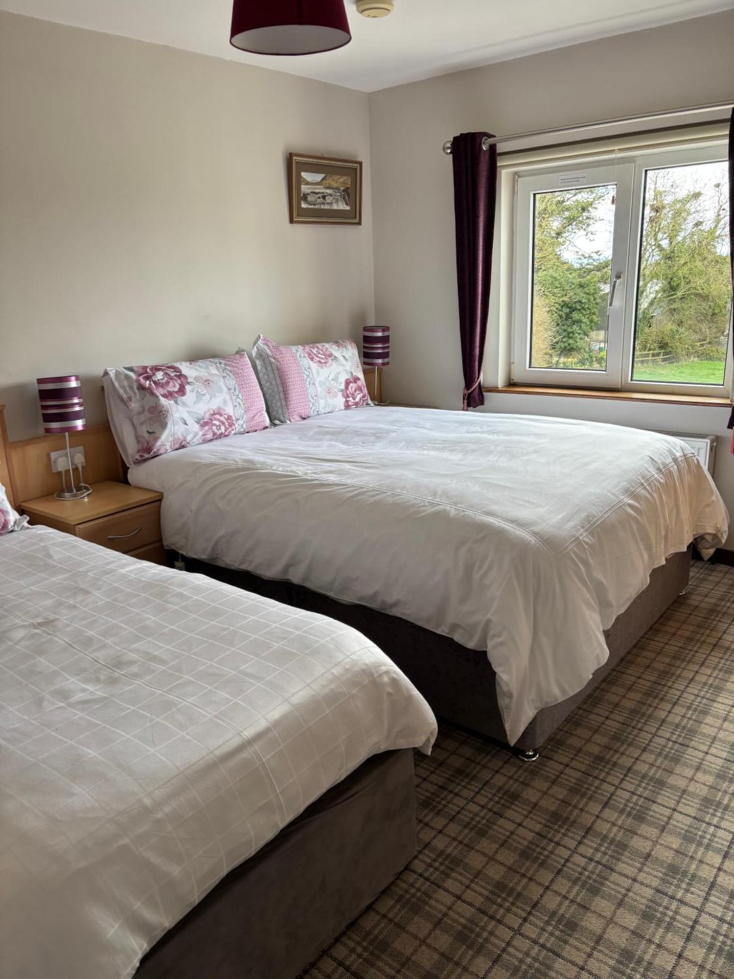 Ballindrum Farm B&B Athy Bagian luar foto
