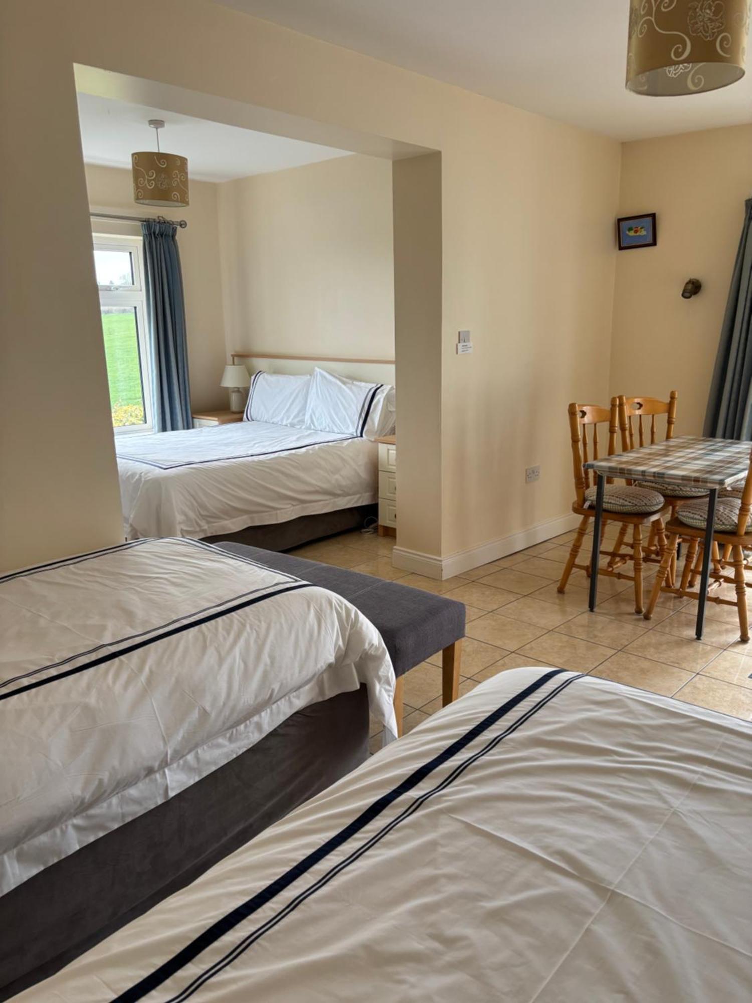 Ballindrum Farm B&B Athy Bagian luar foto